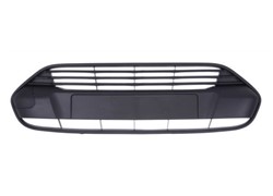 REŠETKA BRANIKA SR. FORD TURNEO CONNECT 013-