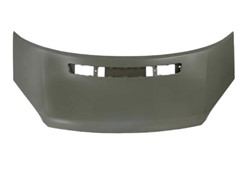 HAUBA FORD TRANSIT 07