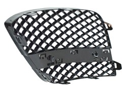 REŠETKA BRANIKA MERC W 222 013- DX  MOD : AMG